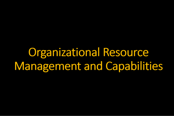 ماتریس مدیریت سبد منابع و قابلیت‌های سازمان